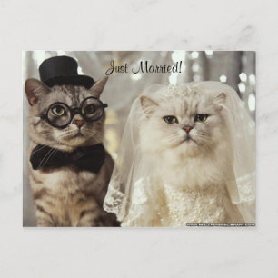 We hebben het gewoon gedaan! aankondigingskaart