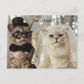 We hebben het gewoon gedaan! aankondigingskaart (Voorkant)