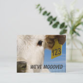 We hebben het Label van de Koe verplaatst Briefkaart (Staand voorkant)