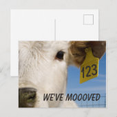 We hebben het Label van de Koe verplaatst Briefkaart (Voorkant / Achterkant)