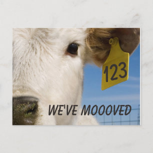 We hebben het Label van de Koe verplaatst Briefkaart