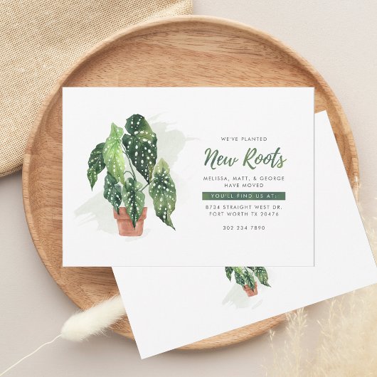 We hebben het Waterverf Plant Botanische Moving ve Aankondiging