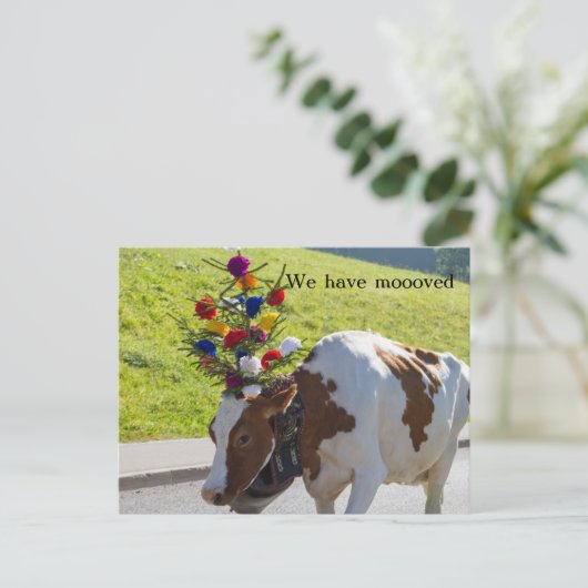 We hebben het Zwitserse Koe Briefkaart verplaatst (Staand voorkant)