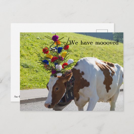 We hebben het Zwitserse Koe Briefkaart verplaatst (Voorkant / Achterkant)