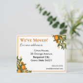 We hebben House Move Sinaasappels Fruit Briefkaart (Staand voorkant)