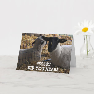 WE HEBBEN 'JE EEN PARIEKENLAND VAN CAKE' GEDAAN. KAART