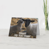 WE HEBBEN 'JE EEN PARIEKENLAND VAN CAKE' GEDAAN. KAART (Voorkant)