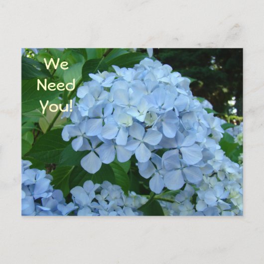 We hebben je nodig, briefkaarten worden betrokken  (Voorkant)