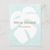 We hebben Monstera Tropical Leaf verplaatst Briefkaart (Voorkant)