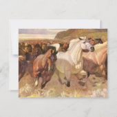 We hebben Moving Moved Horses Mustangs in beweging Aankondiging (Voorkant)