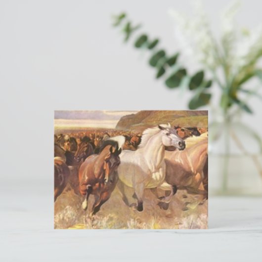 We hebben Moving Moved Horses Mustangs in beweging Aankondiging (Staand voorkant)