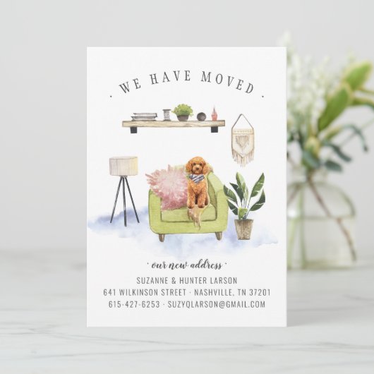 We hebben ons verplaatst | Aankondiging Cavapoo Bo (Staand voorkant)