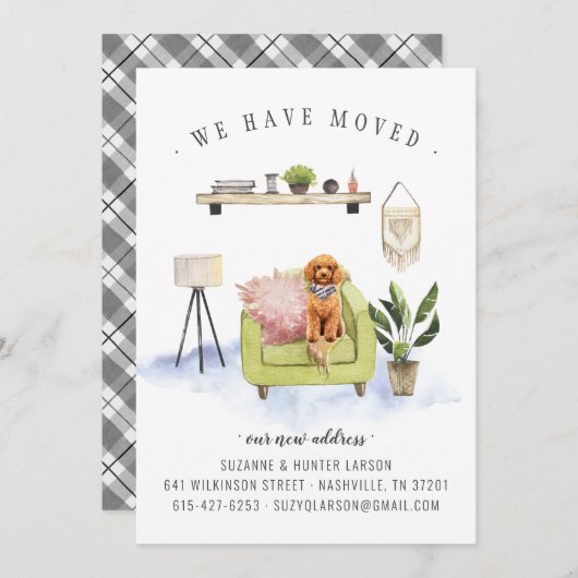 We hebben ons verplaatst | Aankondiging Cavapoo Bo (Voorkant / Achterkant)