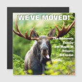 We hebben ons verplaatst | Colorful Moose Moving A (Voorkant / Achterkant)