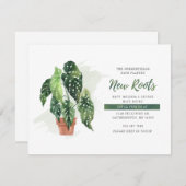 We hebben planted New Roots Moving Announcement ve (Voorkant / Achterkant)