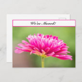 We hebben roze chysanthemum verplaatst aankondigingskaart (Voorkant / Achterkant)