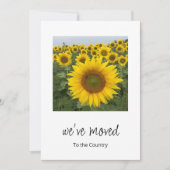 We hebben rustieke zonnebloemen verplaatst Foto Mo Aankondiging (Voorkant)