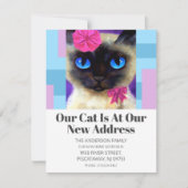 We hebben schattig huisdier kat nieuwe adres tekst aankondiging (Voorkant)