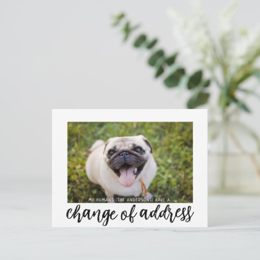 We hebben Verandering van Adres Hond Foto Briefkaa Briefkaart (Staand voorkant)