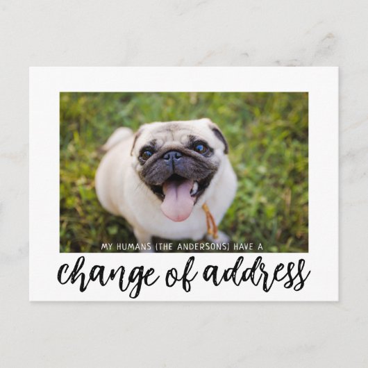 We hebben Verandering van Adres Hond Foto Briefkaa Briefkaart (Voorkant)