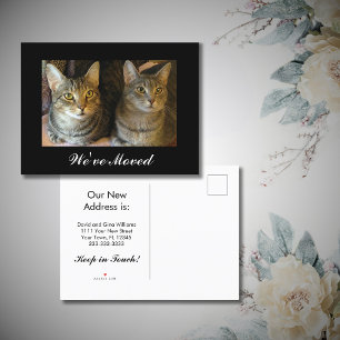 We hebben verplaatst Nieuwe Home Katten Foto Zwart Aankondigingskaart
