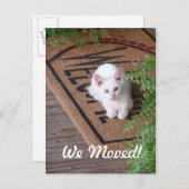 We hebben White Kitten verplaatst Aankondigingskaart (Voorkant / Achterkant)