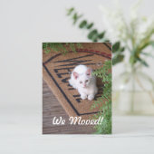 We hebben White Kitten verplaatst Aankondigingskaart (Staand voorkant)