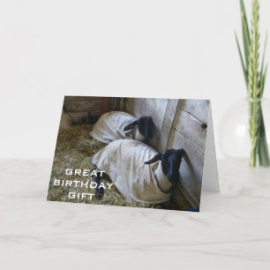 WE HERINNEREN ONS ERAAN DAT WE EEN JAAR OUDER ZIJN KAART