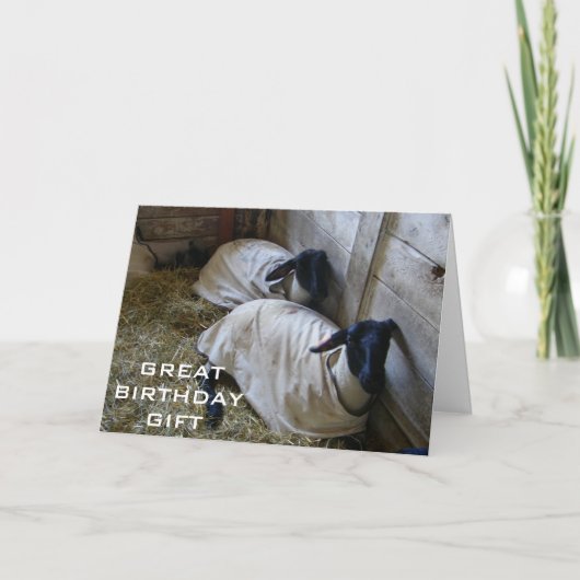 WE HERINNEREN ONS ERAAN DAT WE EEN JAAR OUDER ZIJN KAART (Voorkant)