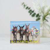 We houden er wel van om naast de zeeoor te zijn. briefkaart (Staand voorkant)