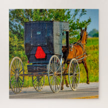 We houden van Amish Carraiges in Iowa.