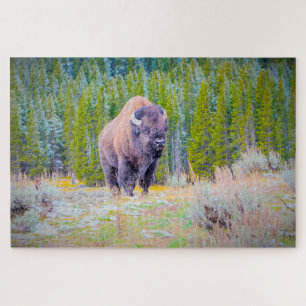 We houden van Bison in Wyoming Legpuzzel