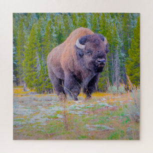 We houden van Bison Wyoming. Legpuzzel