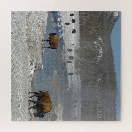 We houden van Bison Wyoming. Legpuzzel (Horizontaal)