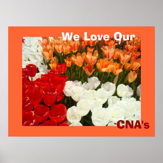 We houden van de posters van onze CNA Oranje Tulp  (Voorkant)