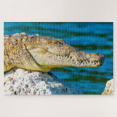 We houden van Gators in Florida Legpuzzel (Horizontaal)