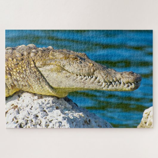 We houden van Gators in Florida Legpuzzel (Horizontaal)