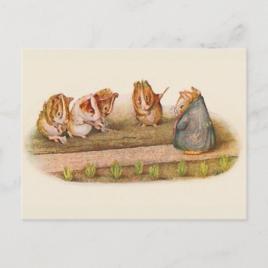 We houden van onze kleine Garden Guinee Pig Briefkaart (Voorkant)