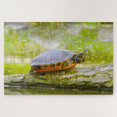 We houden van Rotbauch Eared Water Turtles Legpuzzel (Horizontaal)