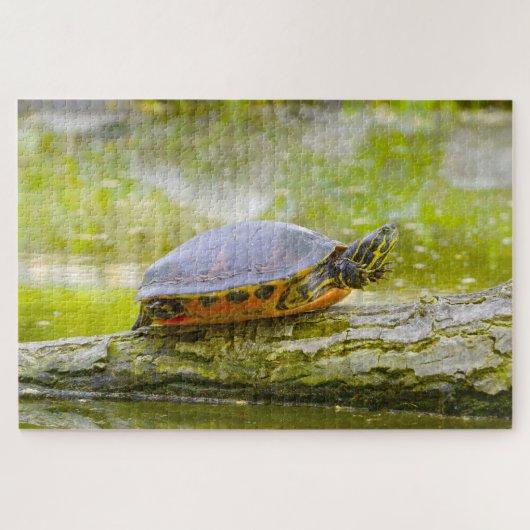 We houden van Rotbauch Eared Water Turtles Legpuzzel (Horizontaal)