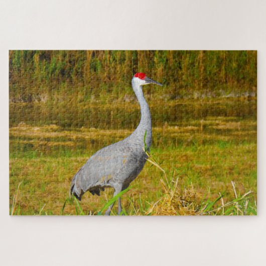 We houden van Sandhill Cranes Florida Legpuzzel (Horizontaal)