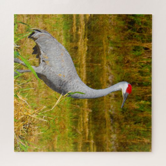 We houden van Sandhill Cranes in Florida Legpuzzel (Horizontaal)