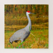 We houden van Sandhill Cranes in Florida Legpuzzel (Verticaal)