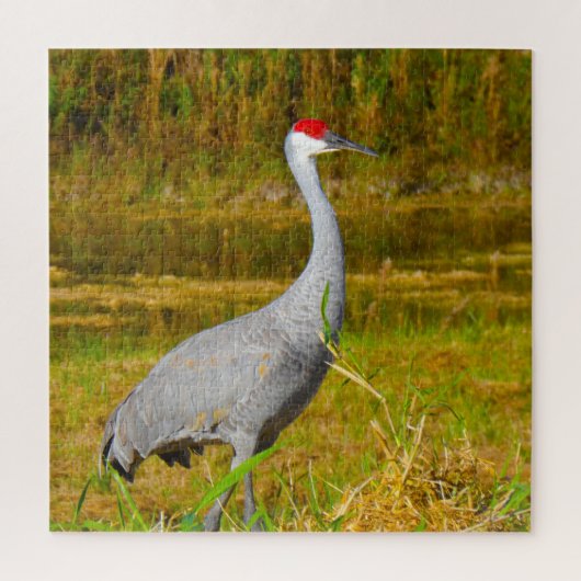 We houden van Sandhill Cranes in Florida Legpuzzel (Verticaal)