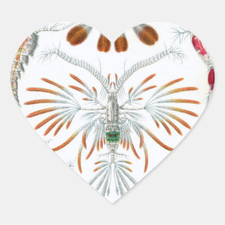 We houden van Scientific Illustrations stickers