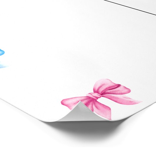 We kennen geslachtsonthullingsdiagram poster (Hoek)