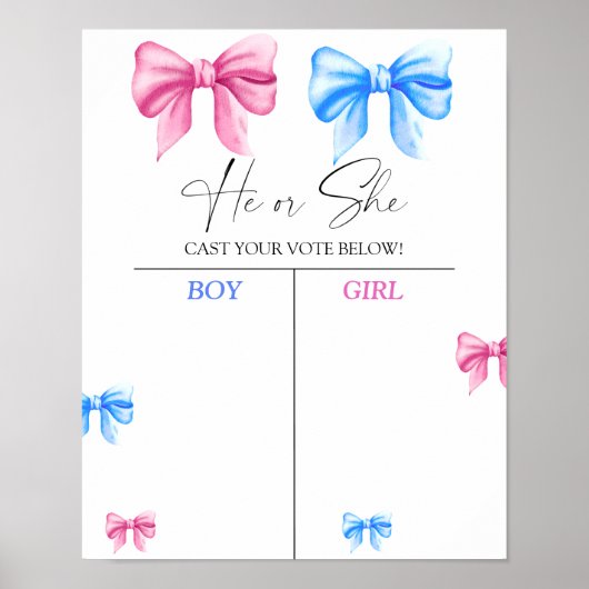 We kennen geslachtsonthullingsdiagram poster (Voorkant)