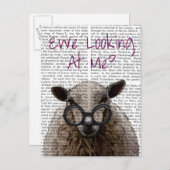 We kijken naar Me DeNiro Sheep 2 Briefkaart (Voorkant / Achterkant)