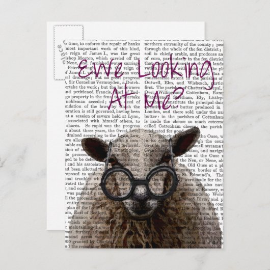 We kijken naar Me DeNiro Sheep 2 Briefkaart (Voorkant / Achterkant)