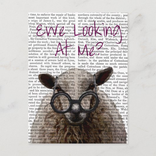 We kijken naar Me DeNiro Sheep 2 Briefkaart (Voorkant)